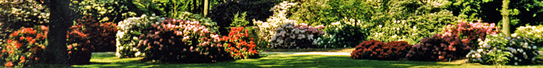 Bremen Rhododendronpark